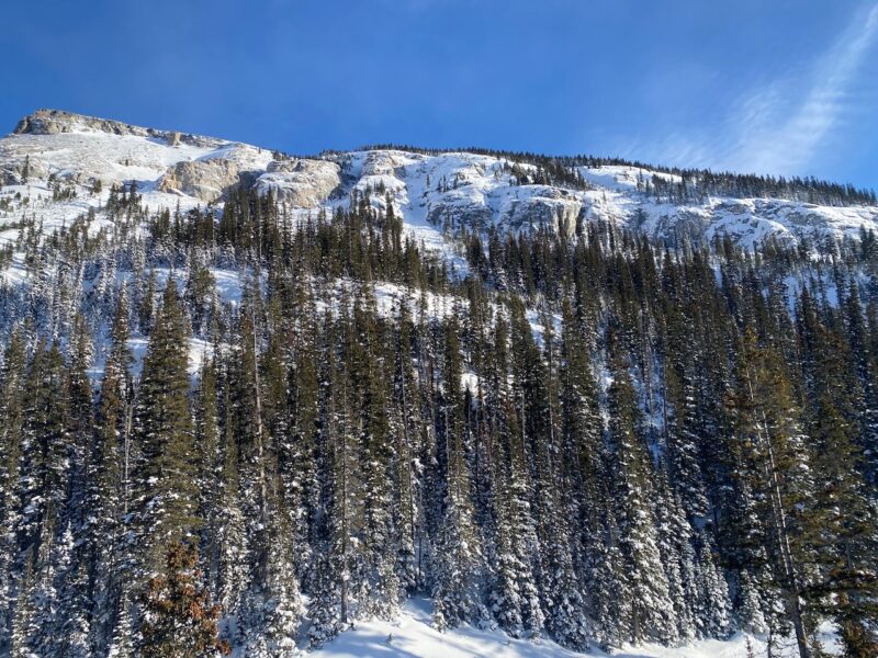 The Wild West, Sunshine Village, Canada. Image © PlanetSKI